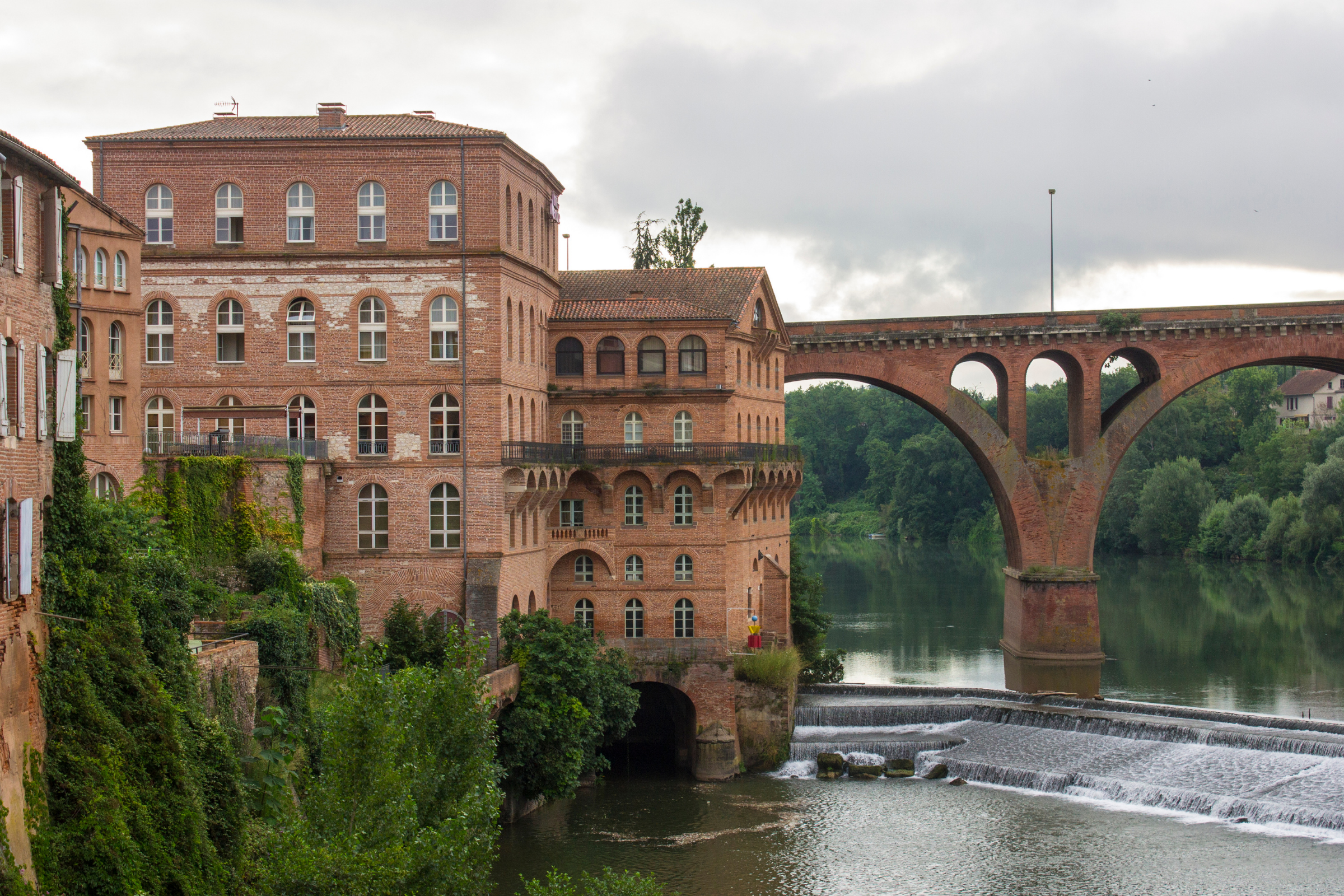 albi (4).webp